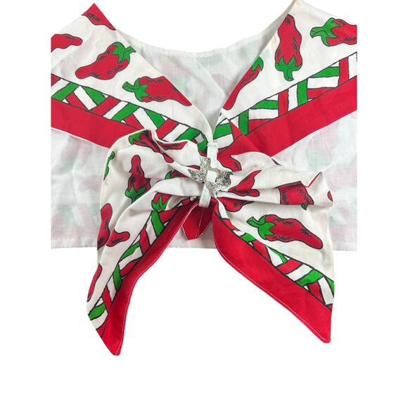 Southwestern- Red chili pepper- Rave Festival Beaded Scarf Cape Texas - Picture 2 of 7